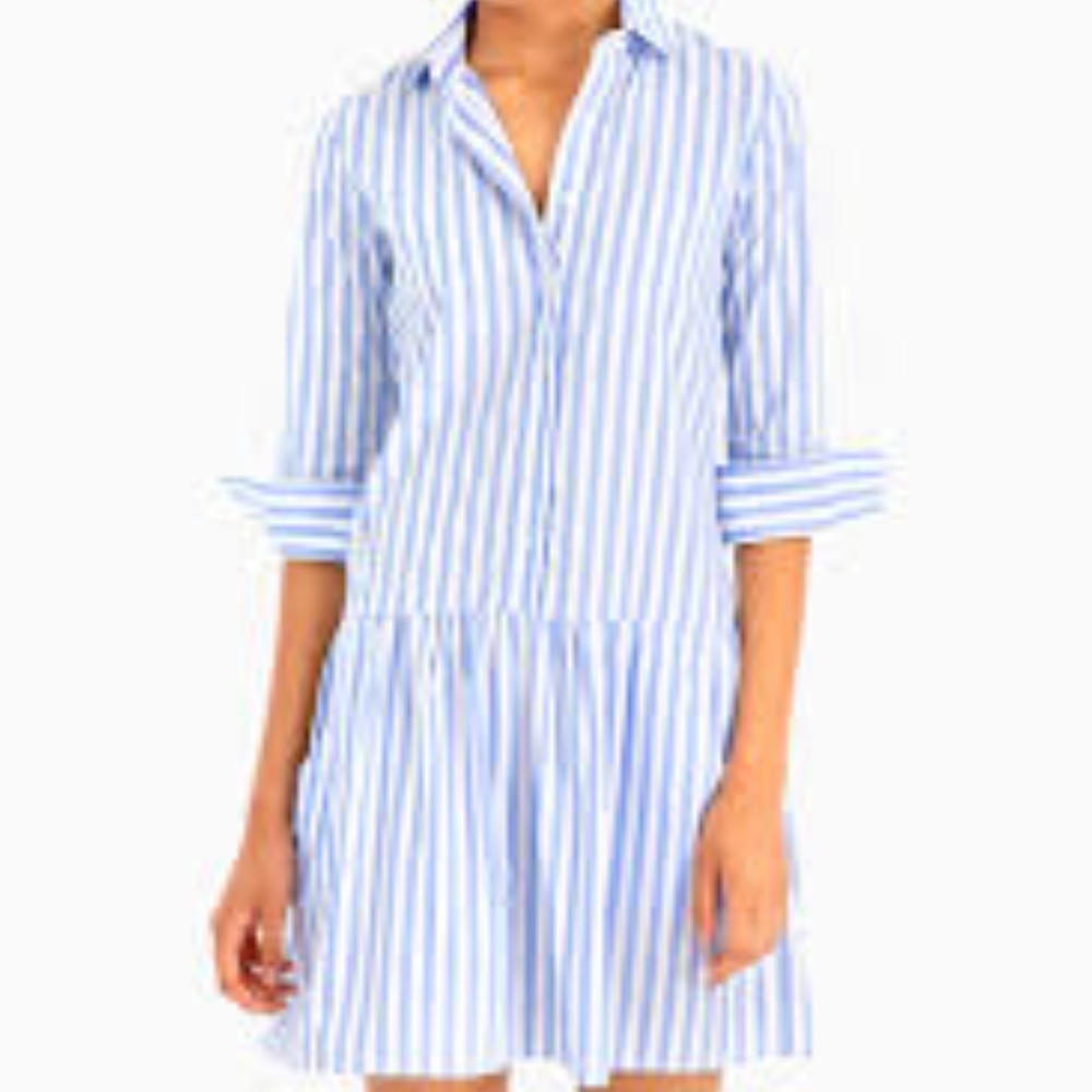 Tuckernuck Drop Waist Shirt Dress